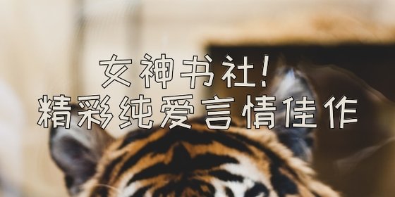女神书社！精彩纯爱言情佳作